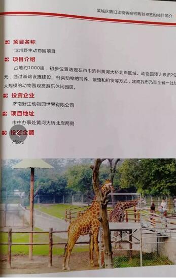 厲害了我的大濱州，15個(gè)招商引資項(xiàng)目集中簽約！