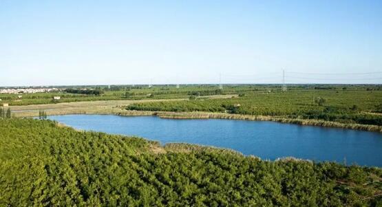 厲害了我的大濱州，15個(gè)招商引資項(xiàng)目集中簽約！